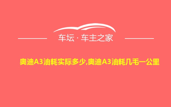 奥迪A3油耗实际多少,奥迪A3油耗几毛一公里