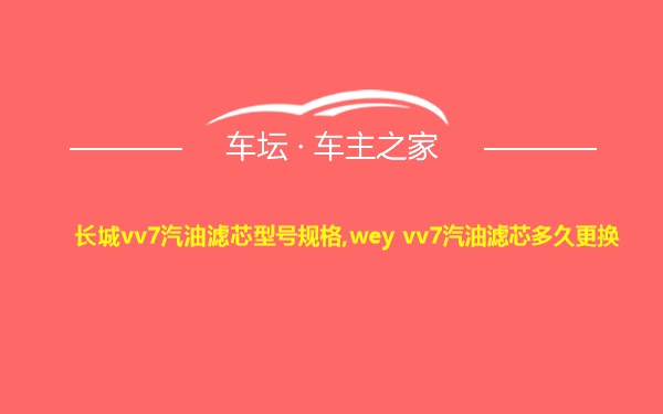 长城vv7汽油滤芯型号规格,wey vv7汽油滤芯多久更换