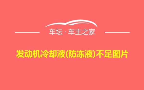 发动机冷却液(防冻液)不足图片