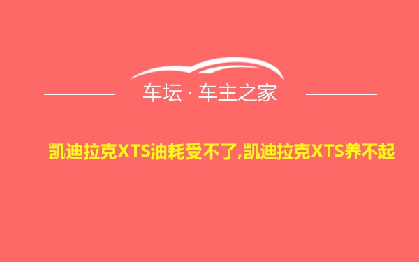 凯迪拉克XTS油耗受不了,凯迪拉克XTS养不起