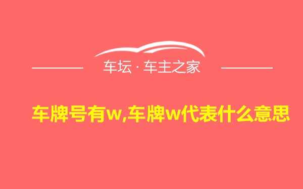 车牌号有w,车牌w代表什么意思