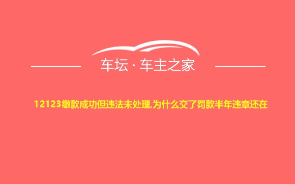 12123缴款成功但违法未处理,为什么交了罚款半年违章还在