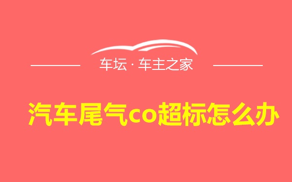 汽车尾气co超标怎么办