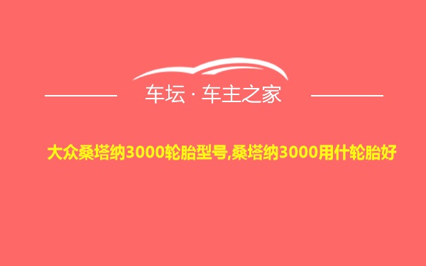 大众桑塔纳3000轮胎型号,桑塔纳3000用什轮胎好