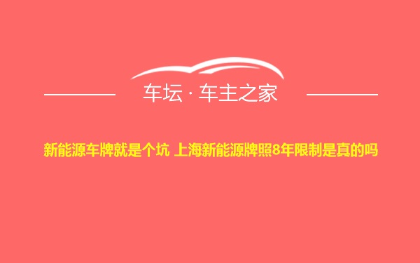 新能源车牌就是个坑 上海新能源牌照8年限制是真的吗