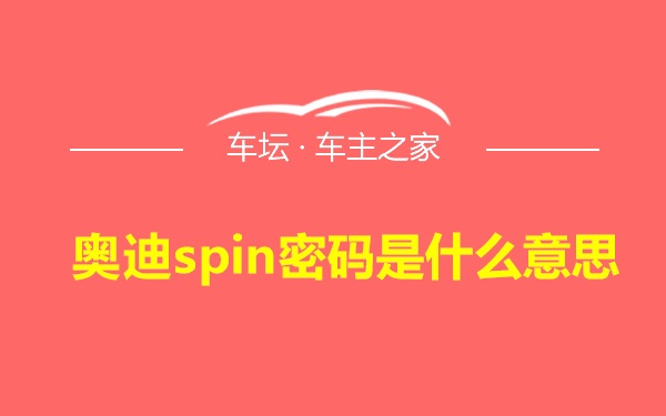 奥迪spin密码是什么意思