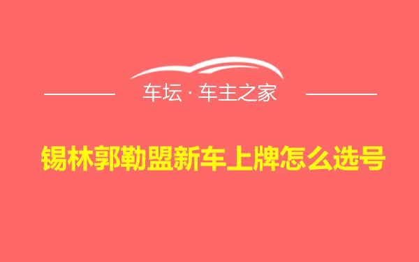 锡林郭勒盟新车上牌怎么选号