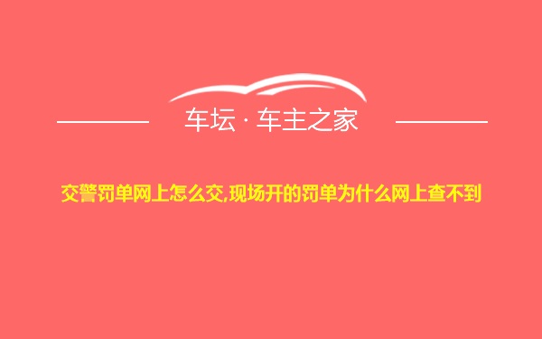 交警罚单网上怎么交,现场开的罚单为什么网上查不到