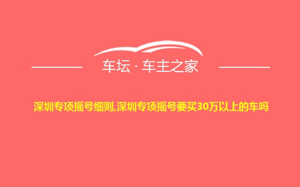 深圳专项摇号细则,深圳专项摇号要买30万以上的车吗