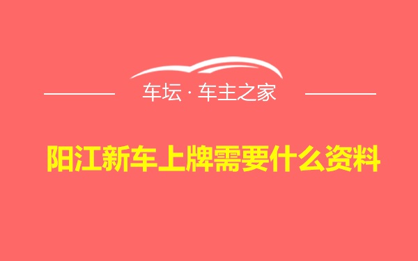 阳江新车上牌需要什么资料