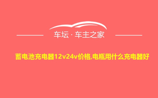 蓄电池充电器12v24v价格,电瓶用什么充电器好