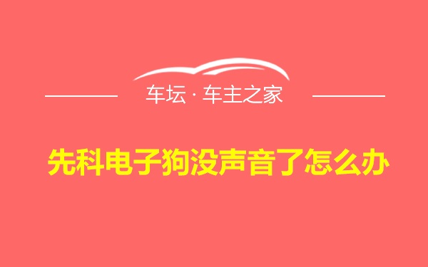 先科电子狗没声音了怎么办