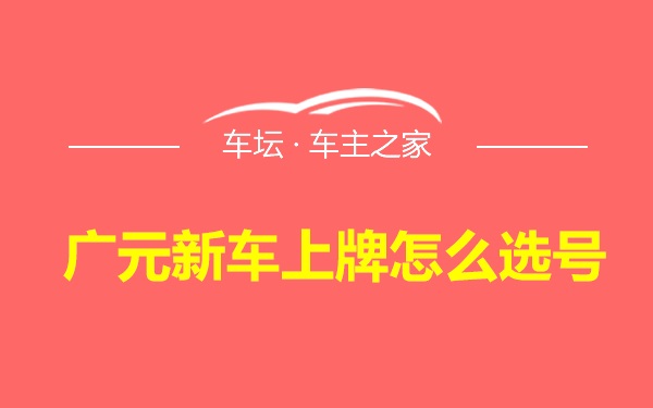 广元新车上牌怎么选号