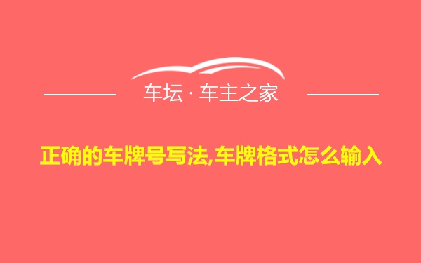 正确的车牌号写法,车牌格式怎么输入