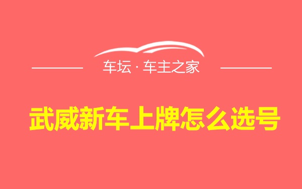 武威新车上牌怎么选号