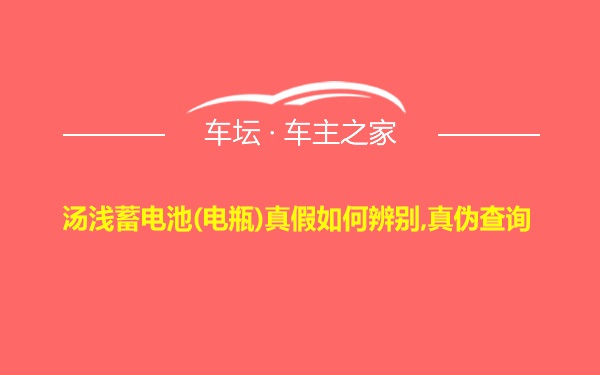 汤浅蓄电池(电瓶)真假如何辨别,真伪查询