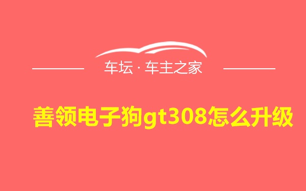 善领电子狗gt308怎么升级