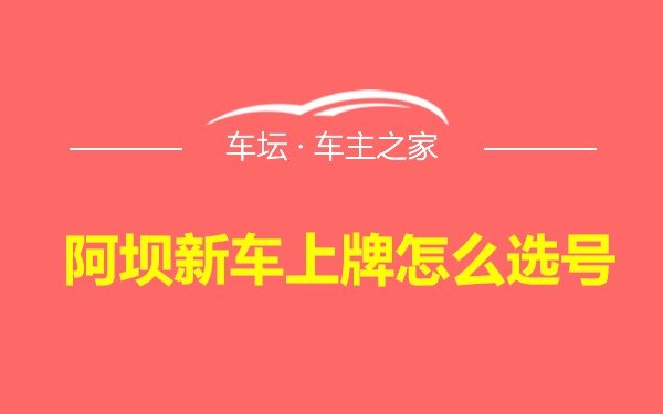 阿坝新车上牌怎么选号