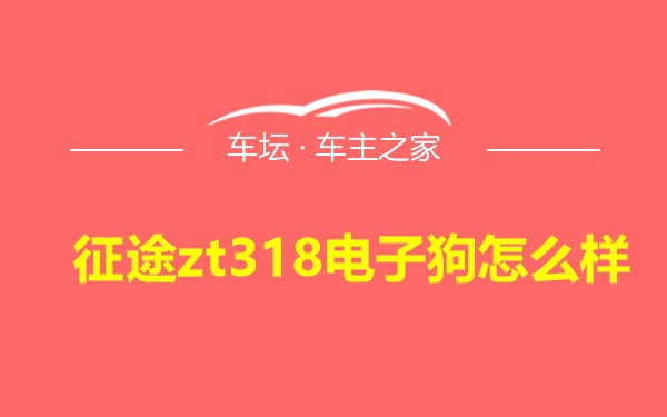 征途zt318电子狗怎么样