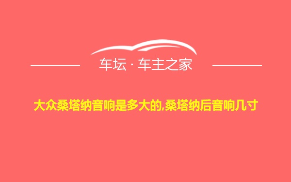 大众桑塔纳音响是多大的,桑塔纳后音响几寸