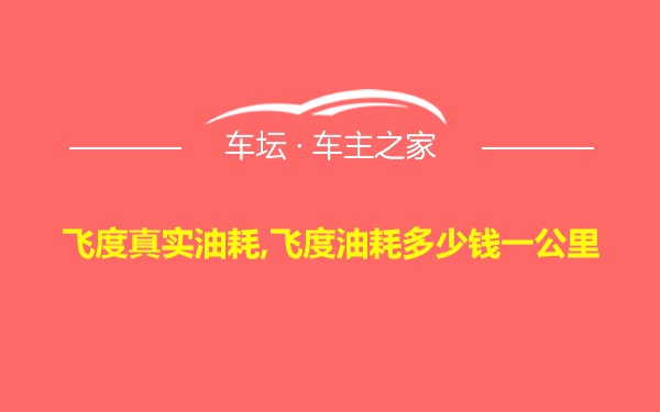 飞度真实油耗,飞度油耗多少钱一公里