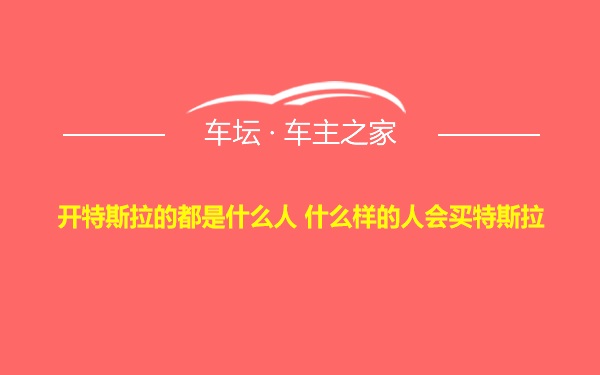 开特斯拉的都是什么人 什么样的人会买特斯拉