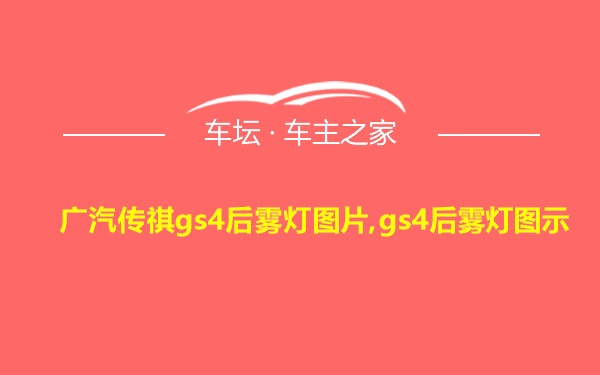 广汽传祺gs4后雾灯图片,gs4后雾灯图示