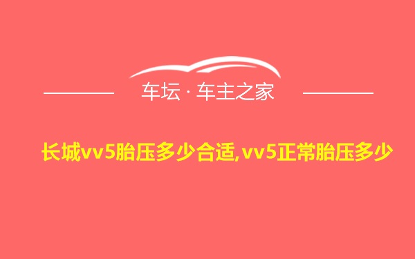 长城vv5胎压多少合适,vv5正常胎压多少