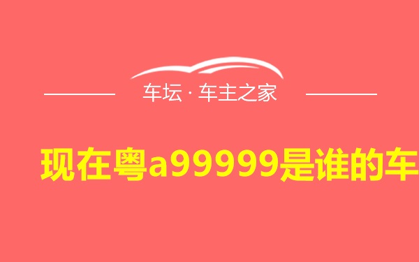 现在粤a99999是谁的车