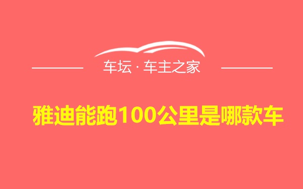 雅迪能跑100公里是哪款车