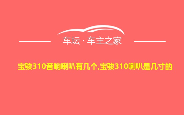 宝骏310音响喇叭有几个,宝骏310喇叭是几寸的