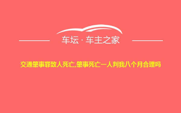 交通肇事罪致人死亡,肇事死亡一人判我八个月合理吗