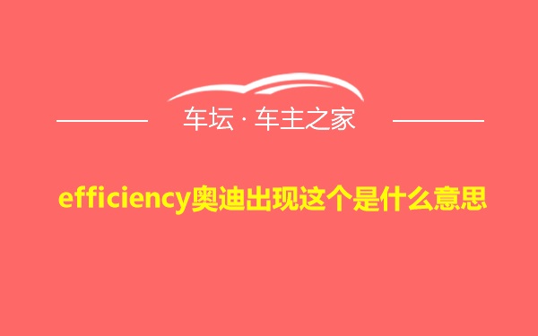 efficiency奥迪出现这个是什么意思