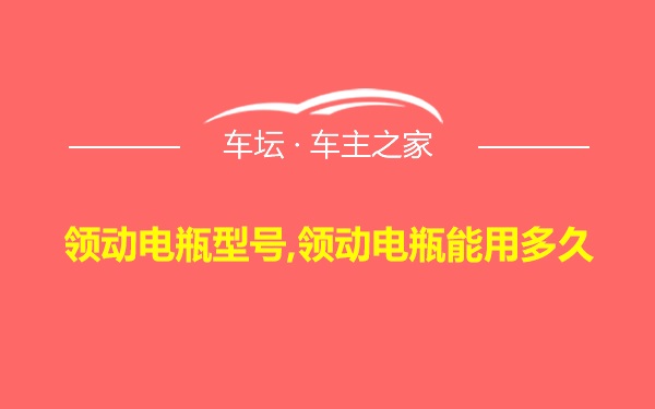 领动电瓶型号,领动电瓶能用多久