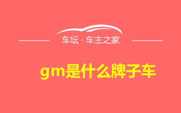 gm是什么牌子车