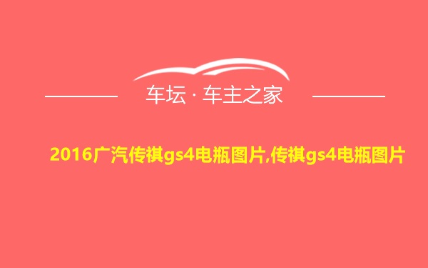 2016广汽传祺gs4电瓶图片,传祺gs4电瓶图片