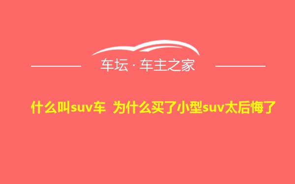 什么叫suv车 为什么买了小型suv太后悔了