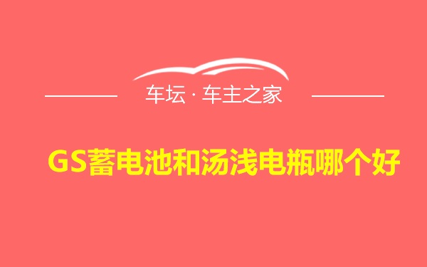 GS蓄电池和汤浅电瓶哪个好