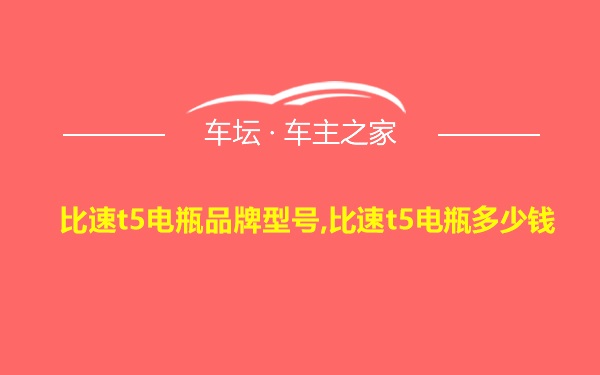 比速t5电瓶品牌型号,比速t5电瓶多少钱