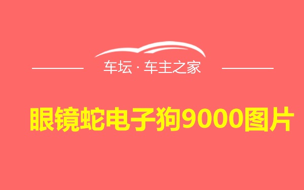 眼镜蛇电子狗9000图片