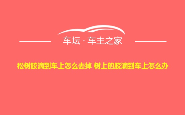 松树胶滴到车上怎么去掉 树上的胶滴到车上怎么办