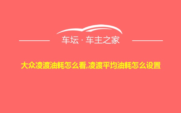 大众凌渡油耗怎么看,凌渡平均油耗怎么设置