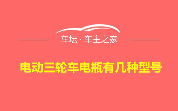 电动三轮车电瓶有几种型号