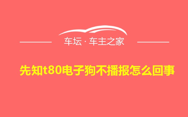 先知t80电子狗不播报怎么回事