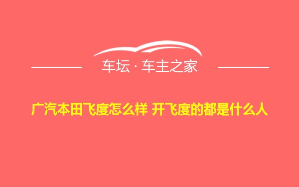 广汽本田飞度怎么样 开飞度的都是什么人