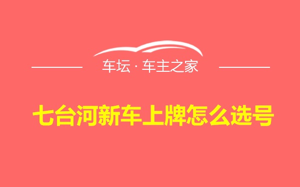 七台河新车上牌怎么选号