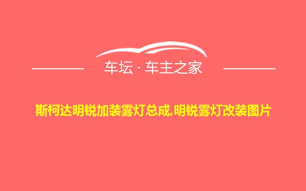 斯柯达明锐加装雾灯总成,明锐雾灯改装图片