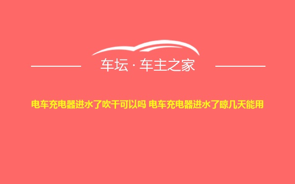 电车充电器进水了吹干可以吗 电车充电器进水了晾几天能用