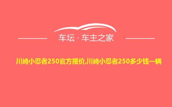 川崎小忍者250官方报价,川崎小忍者250多少钱一辆