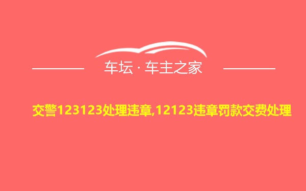 交警123123处理违章,12123违章罚款交费处理